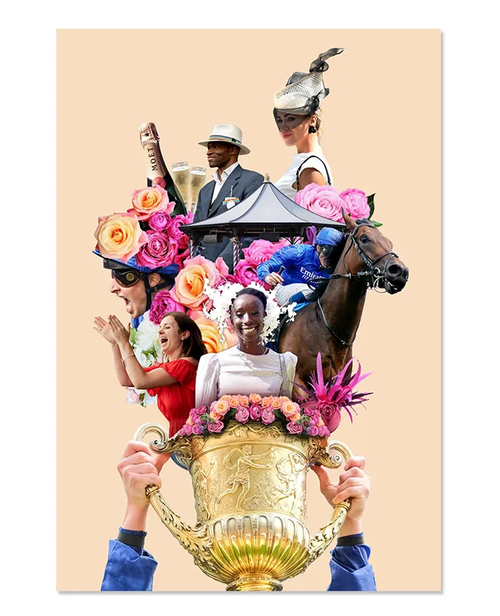 Ascot Image Layout