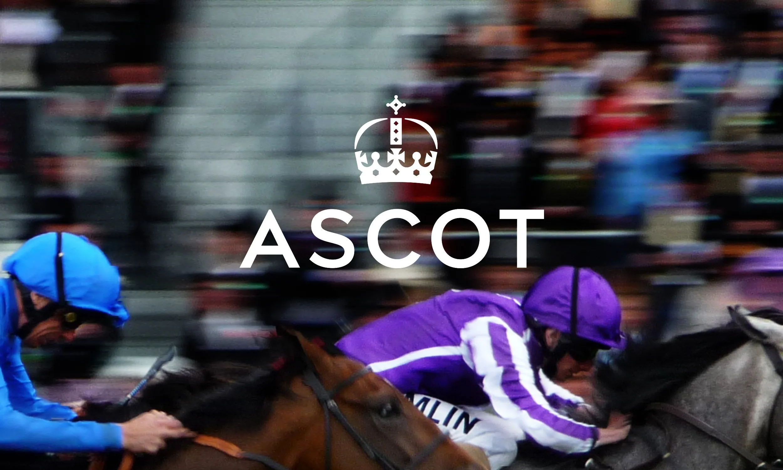 Ascot Header Image